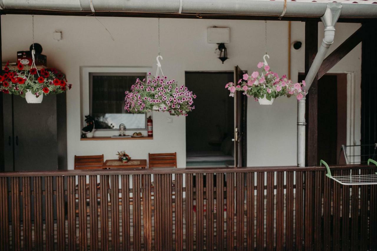 Apartment Paulaapartment&rooms Oradea